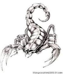 26 latest scorpion tattoo designs picture tattoos scorpion tattoo scorpio tattoo