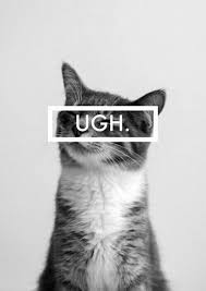 Applications for the petronas education sponsorship programme (pesp) is once again open to outstanding malaysians to pursue undergraduate studies in select fields. Petronas Education Sponsorship Programme 2017 Pesp2017 Part 1 Akubudaksbp