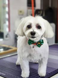 Bailey Bentley Winnie Cooper Hannah Ember🥰