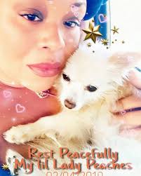 Conure pictures and names from owners