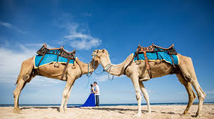 Kamu bisa aja milih pantai, taman kota, ataupun bangunan unik buat preweddingmu. Foto Prewedding Pohon Karetan Terbaik Dari Prewed Di Hutan Pinus Casual Gallery Pre Kelebihan Dari Lokasi Prewedding Di Art Center Ini Terdapat Banyak Spot Yang Bisa Dipilih