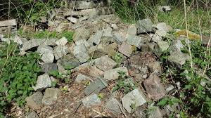 Steinhausen ist von wäldern umgeben und von hügeln durchzogen. Vielfaltige Strukturen Im Garten Deutschland Summt