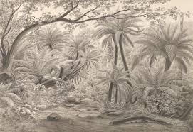 Eugene Von Guerard Ferntree Or Dobson S Gully Dandenong Ranges 1858 Sale Artwork Artwork Artwork Painting
