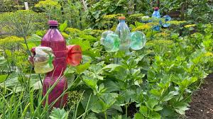 Image result for plašič krtků z pet lahve