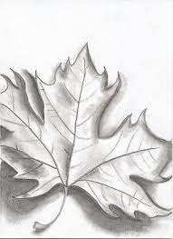 Original pencil drawing graphite fantasy fairy autumn woman leaves. Maple Leaf Black And White Drawing By Winterrush Leaves Sketch Pencil Drawings Art Drawings Sketches