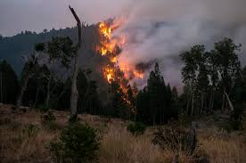 Cal fire director thom porter said during a news conference earlier this week that the caldor fire is now, the no. Caldor Fire Surpasses 100 000 Acres After Jumping Highway 50 Santa Cruz Sentinel