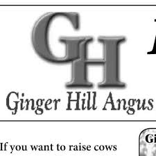 Local newport news, va orkin branch. Dodson Pest Control Home Facebook