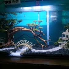 Bisa dengan menempelkan portongan kertas dengan setitik lem. Jual Aneka Miniatur Rumah Aquascape Terlengkap Harga Murah August 2021