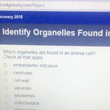 Eukaryotic cells evolved from prokaryotic cells due to competition for resources in the harsh environment of a barren earth before its atmosphere contained oxygen. Which Organelles Are Found In Animal Cell Brainly Com