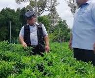 Pejabat pengarah, kawasan pembangunan pertanian bersepadu (iada) pekan, kompleks perkhidmatan pertanian tanah putih (8,202.91 km) dikesempatan ini kami kakitangan kawasan pembangunan pertanian bersepadu iada pekan ingin mengucapkan selamat hari raya aidilfitri. Anim Agro Technology Sistem Pertanian Bersepadu Terbaik