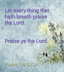 Let Everything That Has Breath Praise The Lord Bible Verse Pin On The Bible God S Love Letter