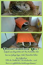 Beschaftigung Spielzeug Kaninchen Kaninchen Spielzeug Kaninchengehege