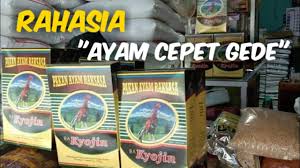 Is a series created by hajime isayama. Pakan Ayam Terbaik Kyojin Testimoni Jilid 5 Youtube