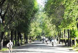 ‍ a legacy of italian beauty comes to life in effective treatments for skin, soul and self. Villa Borghese Great Runs