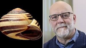 P4 Skaraborg, Sveriges Radio