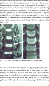 Aus Der Orthopadischen Klinik Des St Josef Hospitals Universitatsklinik Der Ruhr Universitat Bochum Direktor Prof Dr Med J Pdf Kostenfreier Download