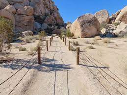 We did not find results for: Hike The Hidden Valley Trail In Joshua Tree National Park Roadtripping California