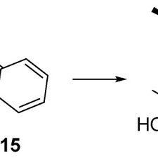Image result for Cleistochlamys