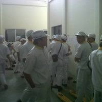 3d network indonesia, pt jl. Pt Indolakto Cicurug Indomilk Cicurug Sukabumi