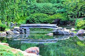 05:01 here'e a small update of my pond and garden in june 2019. Koi Pond Pondering Japanese Garden Photograph By Bill Cannon