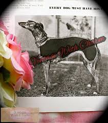 Maybe you would like to learn more about one of these? Vintage 1930s Knitting Pattern Dog Coat Whippet Saluki Small Greyhound For Sale Online Ebay