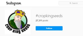 There are many cannabis seed banks in existence today. 20 Best Online Seed Banks That Ship To Usa High Times Top Seed Banks 2021 Update 420 Big Bud