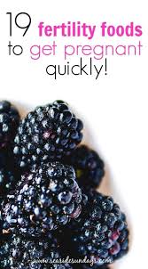 This List For Foods To Eat To Get Pregnant Is Awesome I Really Love All The Explanations She Gives O Foods To Get Pregnant Fertility Foods Fertility Diet Plan
