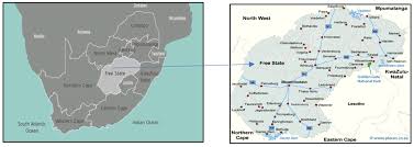 Image result for Jamesbrittenia fodina × huillana