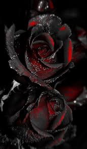 Https Encrypted Tbn0 Gstatic Com Images Q Tbn And9gcqbg Xk67mmnyf H8b Xp Eebgwddnqmrna2w Usqp Cau
