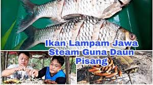Lampam jawa ikan lampam jawa ambakatan flickr from live.staticflickr.com. Ikan Lampam Jawa Steam Guna Daun Pisang Dan Terung Bakar Chef Masakan Borneo Youtube