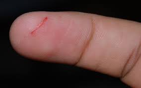 May 01, 2011 · cut was an ala quick pick for ya readers and a nypl book for the teen age. Paper Cut Wikipedia