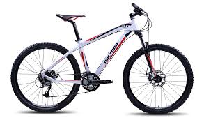 Indonesia boasts some of the world's best beaches, best wildlife viewing, and significant history, making it an immensely rewarding country to tour by bicycle. 404 Not Found Bicycle Brands Bicycle Bike