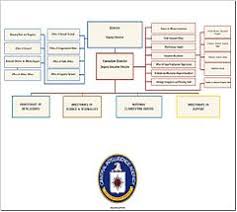 Organizational Structure Of The Central Intelligence Agency