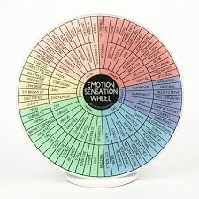 Image result for Sensation