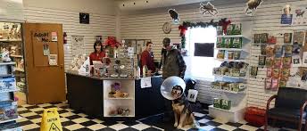 We are honored to be voted #1 for best of the best veterinarian three years in a row! Pet Store Animal Shelter Pet Adoption Dog Cat Adoption Pet Food Supplies Toys