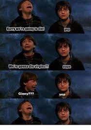 11 harry potter funny quotes. Funny Harry Potter Memes