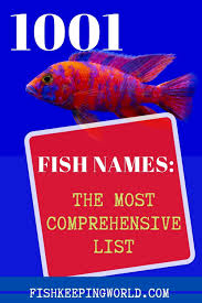 1001 fish names the most comprehensive list fish fishing for beginners fishing humor