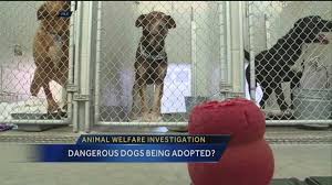 Most adopters care if the pet is healthy and has its vaccinations, and they. City Investigates Dangerous Dog Adoption Claims