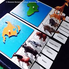 Animals Of The Continents Work This Set Is From Nienhuis Montessori And We Are Using Here In C Montessori Activities Montessori Materials Montessori Geography