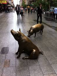 The Little Pigs In Rundle Mall Adelaide South Australia This Is Horatio Adelaide South Australia South Australia University Of South Australia