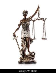 Image result for Justicia nuttii
