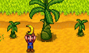 Stardew Valley Is Adding Banana Trees Because 37 000 People Voted For Them Gamesradar