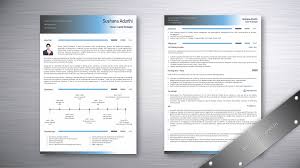 It gives structure to your resume and helps you the signature timeline resume template depicts your entire resume with a visual timeline. Professional Resume Design Writing Samples Graphic Resume Design Templates