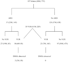 Flow Chart Of Results Of Screening For Vesicoureteral Reflux Vur In Download Scientific Diagram