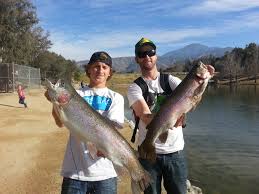 State Advisory Includes Safe-Eating Advice For Lake Piru Fish