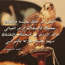 أبيات في مدح العلم وذم الجهل. Ø´Ø¹Ø± Ù…Ø¯Ø­ Ø§Ù„Ø´ÙŠÙˆØ® Ù…ÙÙ‡Ø±Ø³