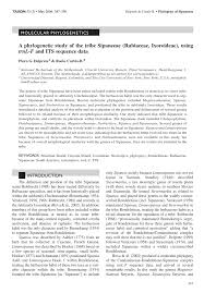 Image result for Pouchetia baumanniana