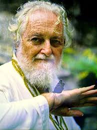 Las Pozas de Edward James — DOP