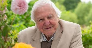 Secret to living to 100 revealed as David Attenborough approaches birthday