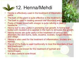 Medicinal Uses Of Tulasi Medicinal Plants Medicine Plants